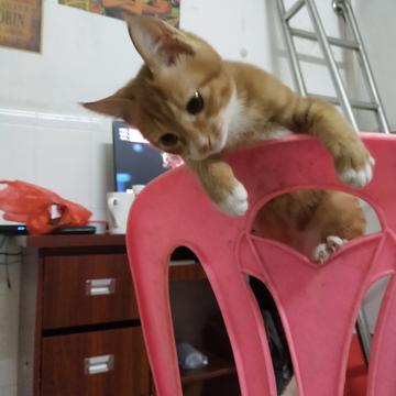 喝水只喝可乐于2019-09-20 19:04发布的图片