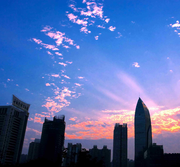 咸鱼茄子煲_Pro的个人资料头像