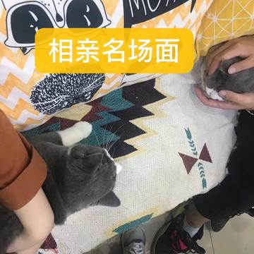 arieslx于2019-09-21 19:06发布的图片