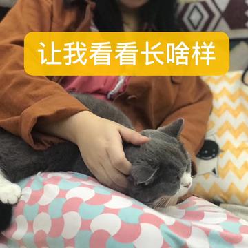 arieslx于2019-09-21 19:06发布的图片