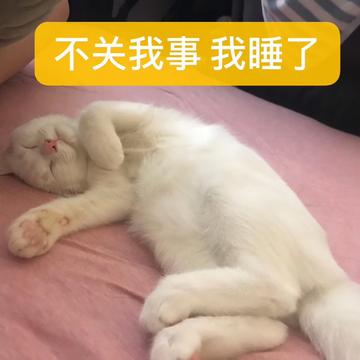 arieslx于2019-09-21 19:06发布的图片