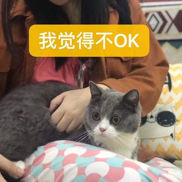 arieslx于2019-09-21 19:06发布的图片