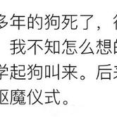 韩数于2019-09-21 23:32发布的图片