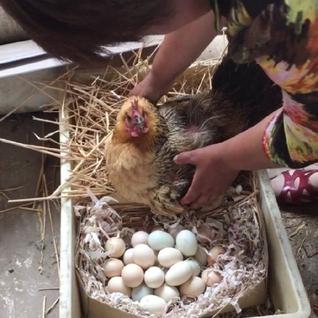 Kaleldo于2019-09-22 20:01发布的图片