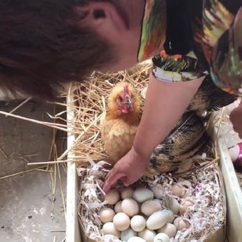 Kaleldo于2019-09-22 20:01发布的图片