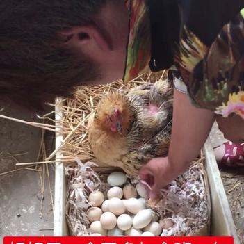 Kaleldo于2019-09-22 20:01发布的图片