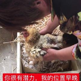 Kaleldo于2019-09-22 20:01发布的图片