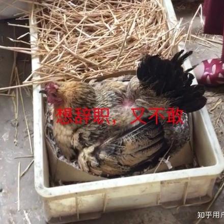 Kaleldo于2019-09-22 20:01发布的图片