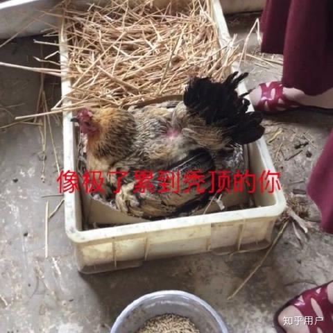 Kaleldo于2019-09-22 20:01发布的图片