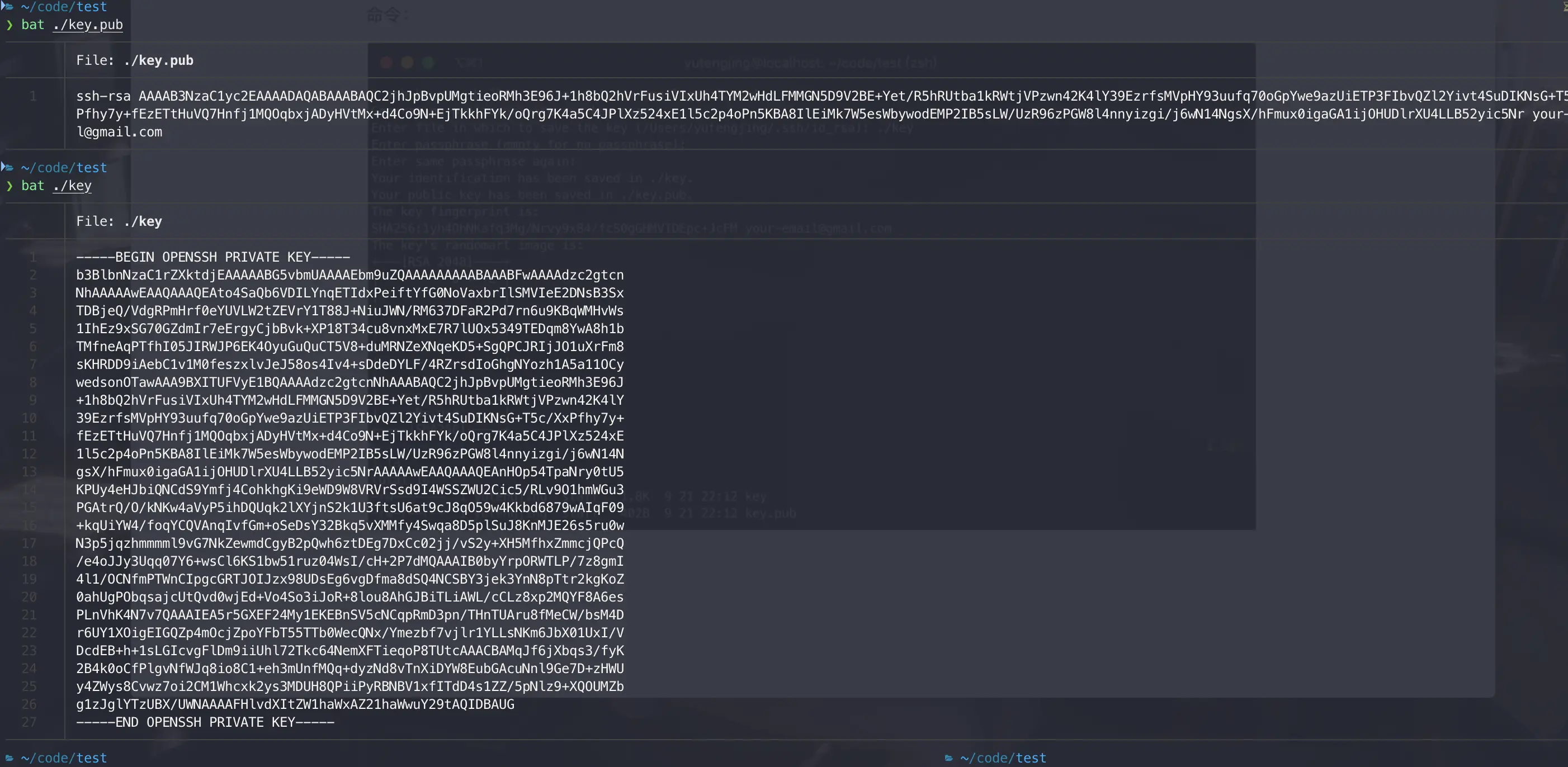 public/private key content