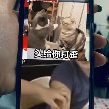 Bug满天飞于2019-09-23 22:42发布的图片