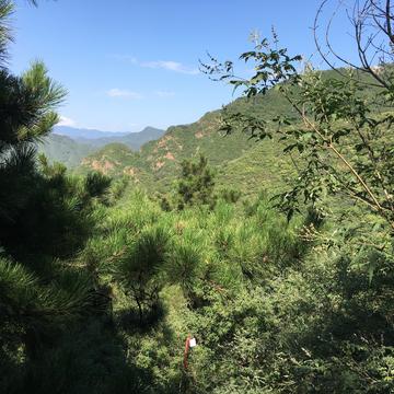 陆枫Larry于2019-09-24 08:31发布的图片