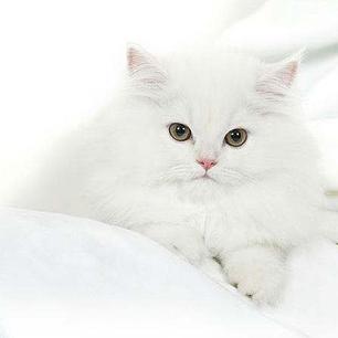 阿志同学于2019-09-24 09:38发布的图片