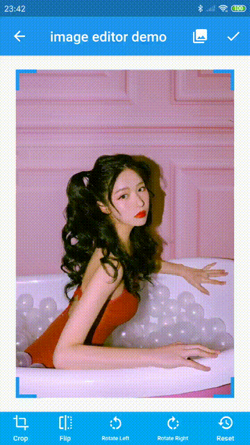 Flutter 图片裁剪旋转翻转编辑器