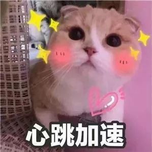 腾讯云开发CloudBase于2019-09-24 14:40发布的图片