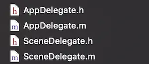 Scene Delegate