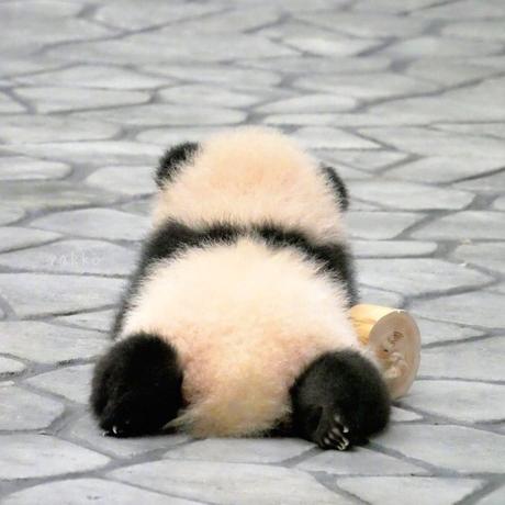 不妨于2019-09-25 13:59发布的图片