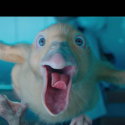 Farewing的个人资料头像