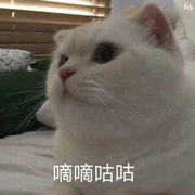 ClayQAQ的个人资料头像