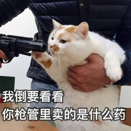 HelloGitHub于2019-09-26 14:46发布的图片