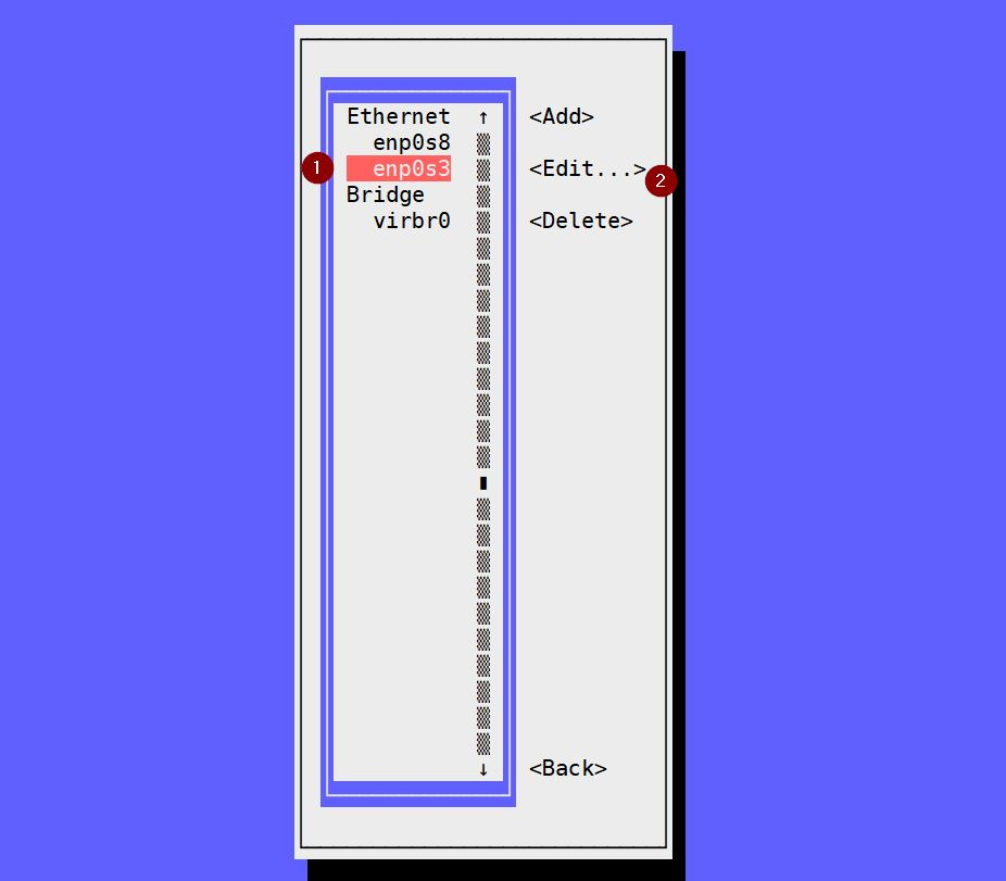 Choose-interface-nmtui-rhel8