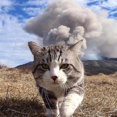 香槟爱吃鱼于2019-09-27 10:05发布的图片