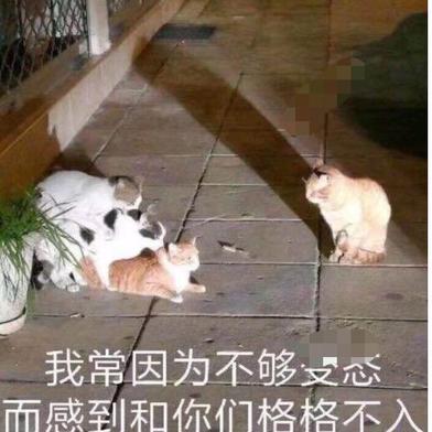 Natchi于2019-09-27 10:39发布的图片