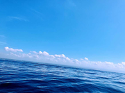 星云Rancy的个人资料头像