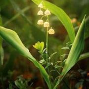 Sweet_mm的个人资料头像