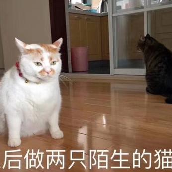 HelloGitHub于2019-09-29 11:40发布的图片