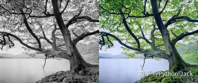 我用Python编程语言做了一些神奇好玩的事情