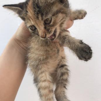 没有人是一座孤岛于2019-09-29 17:07发布的图片