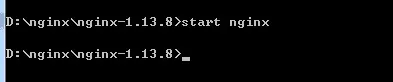 启动nginx