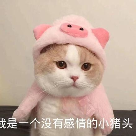 Thanos星云于2019-09-03 11:15发布的图片