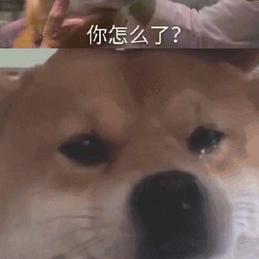 梨还羽于2019-09-30 09:43发布的图片