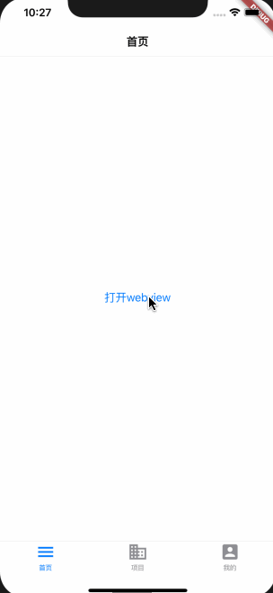 webview.gif