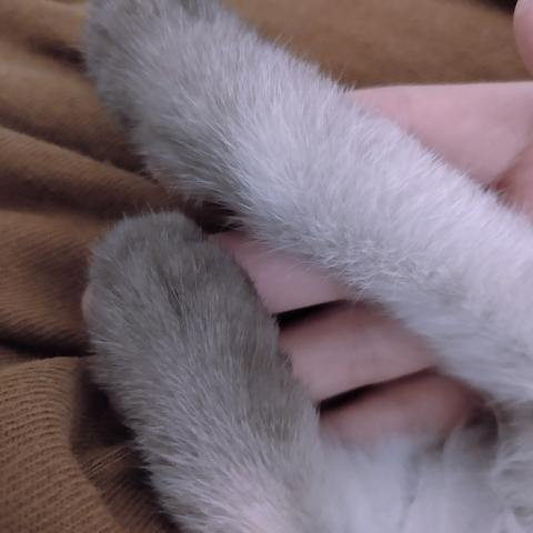 草莓布丁d于2019-09-30 14:44发布的图片