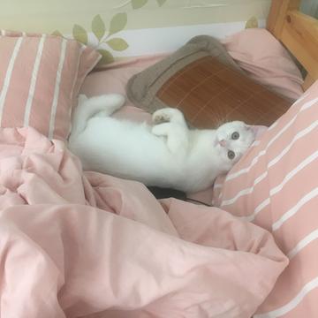 arieslx于2019-09-30 16:26发布的图片