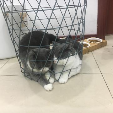 arieslx于2019-09-30 16:26发布的图片