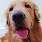 hgq6啊6的个人资料头像