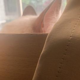 Hausen于2019-09-30 18:18发布的图片