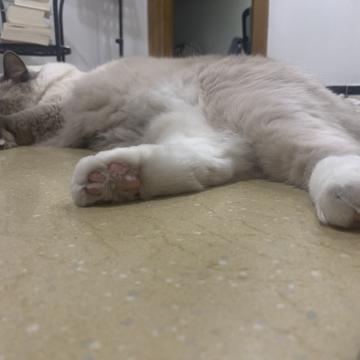 Hausen于2019-09-30 18:18发布的图片