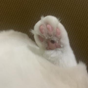 Hausen于2019-09-30 18:18发布的图片