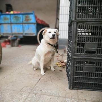 北梦小神于2019-09-30 18:27发布的图片