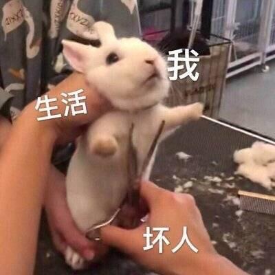 小妍妍说于2019-09-30 20:55发布的图片