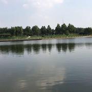 池塘的鱼的个人资料头像