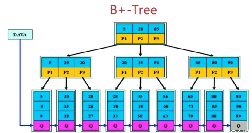 B+Tree.
