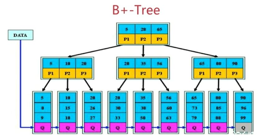 B+Tree.