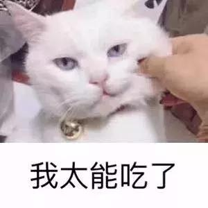 为啥工资挺高,你还是存不下钱