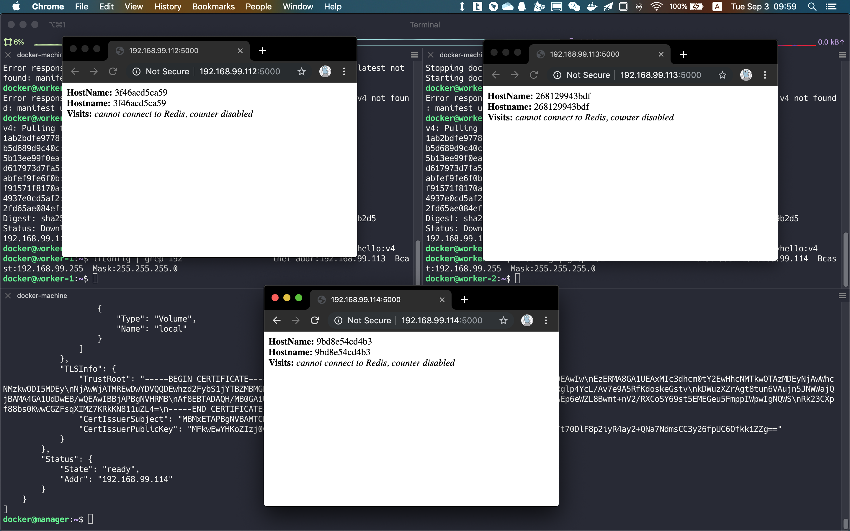 Screen Shot 2019-09-03 at 9.59.57 AM.png
